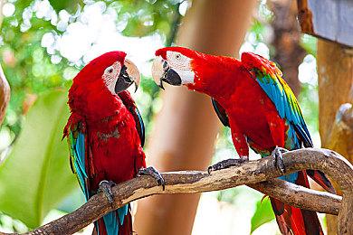 《赤痕：夜之仪式》下周还将推出全新DLC